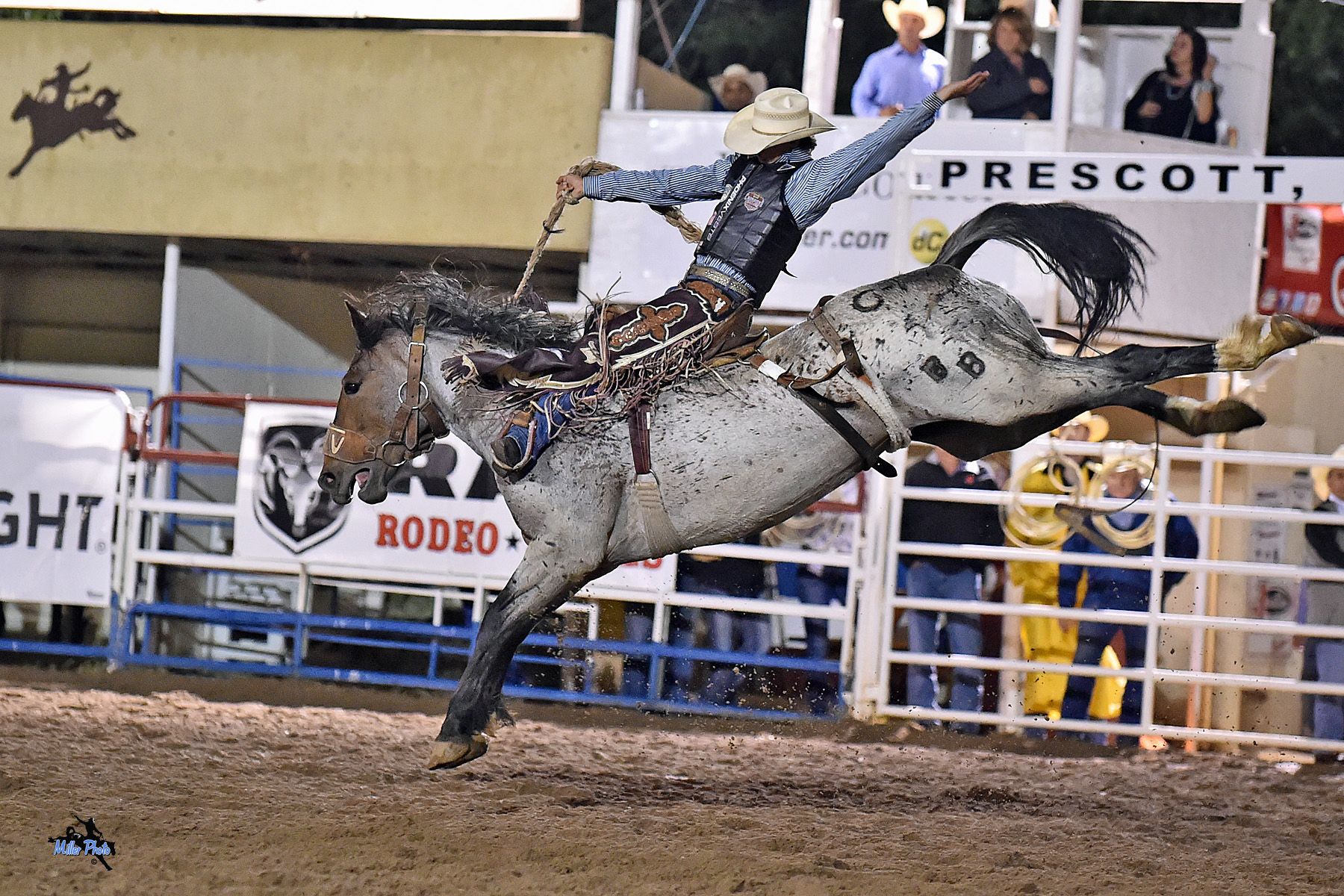 World's Oldest Rodeo